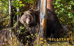 Palliser Lodge — Bellstar Hotels&Resorts